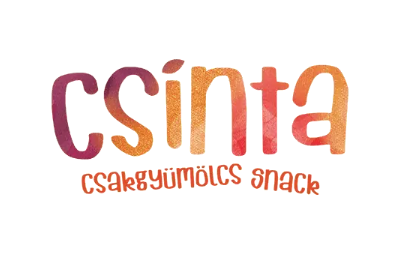 Csinta logo